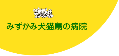 犬、猫からエキゾチックアニマルまでを診療します。東林間（神奈川県相模原市）の動物病院は水上犬猫鳥病院