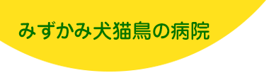 犬、猫からエキゾチックアニマルまでを診療します。東林間（神奈川県相模原市）の動物病院は水上犬猫鳥病院