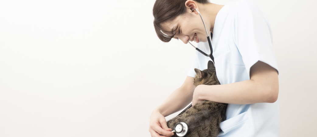 動物看護師